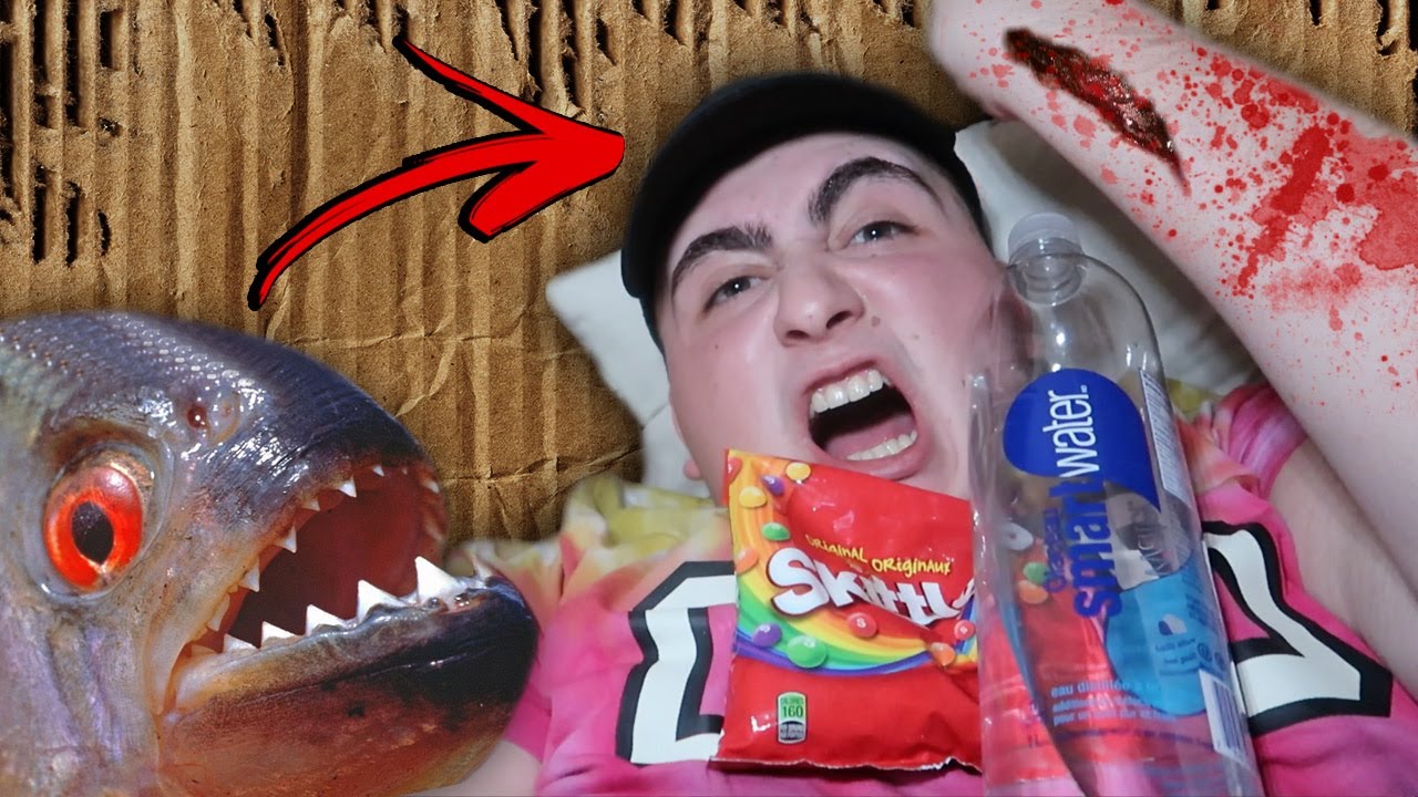 MAILING MYSELF WITH MY DARK WEB PIRANHA | 24 HOUR OVERNIGHT CHALLENGE IN A CARDBOARD BOX!! (SCARY!)