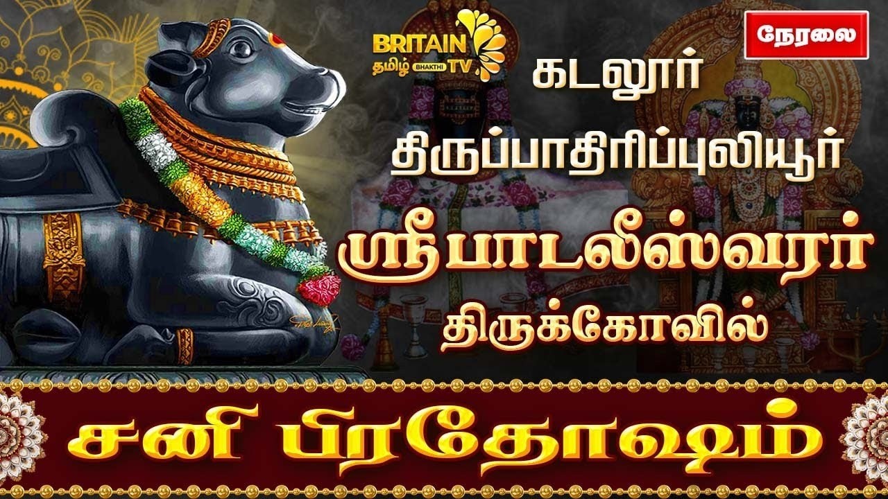 🔴LIVE - கடலூர் - பாடலீஸ்வரர் திருக்கோவில் சனி பிரதோஷ வழிபாடு | Sani Pradhosam Padaleeswarar Temple