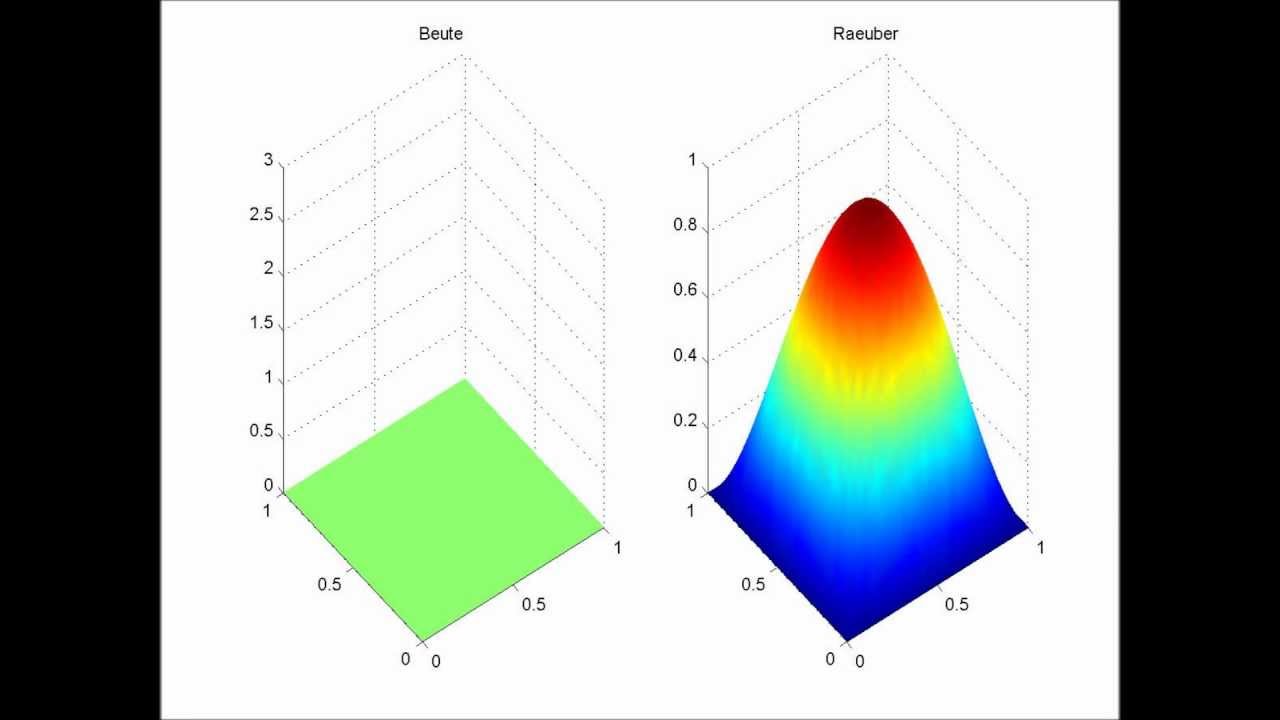 2D R&auml;uber-Beute-System mit Diffusion