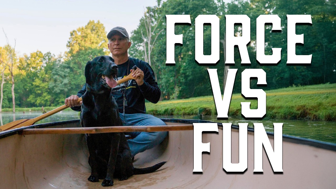 260. Force Fetch vs. Fun Fetch — The Debate with Pat Nolan!
