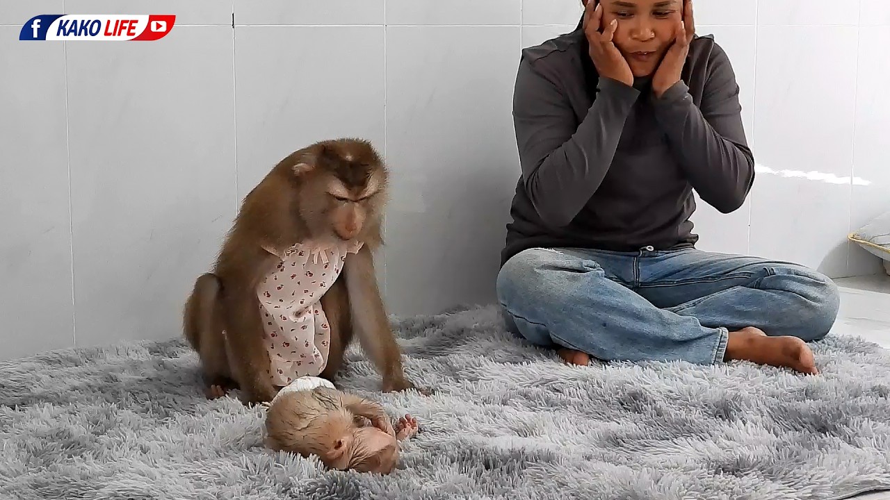 Baby Luka Unhappy With Mommy Luna Not Hug Him