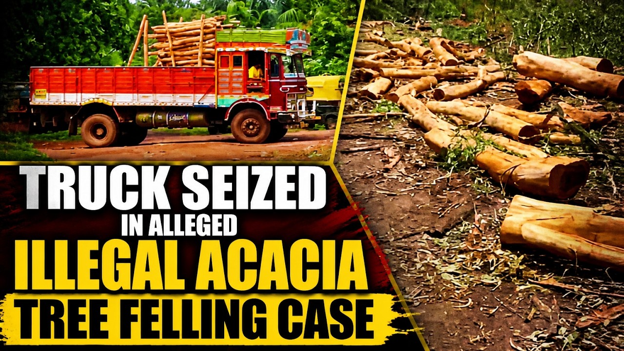Truck Seized In Alleged Illegal Acacia Tree Felling Case
