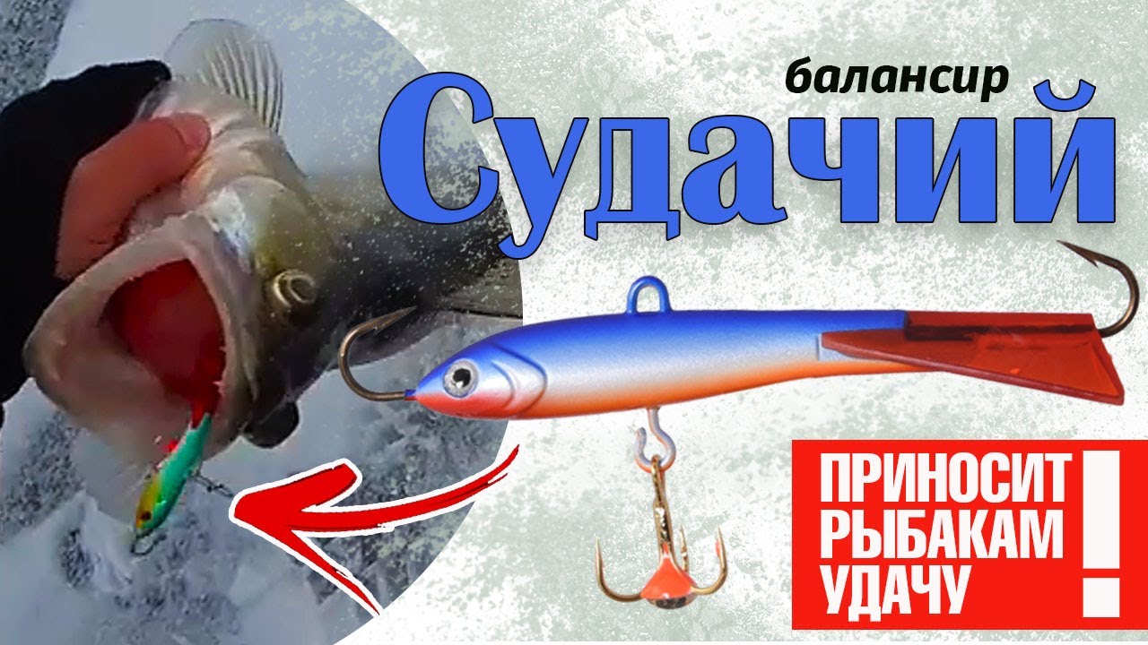 Балансир ECOPRO &laquo;Судачий&raquo;, приносит рыбакам удачу.