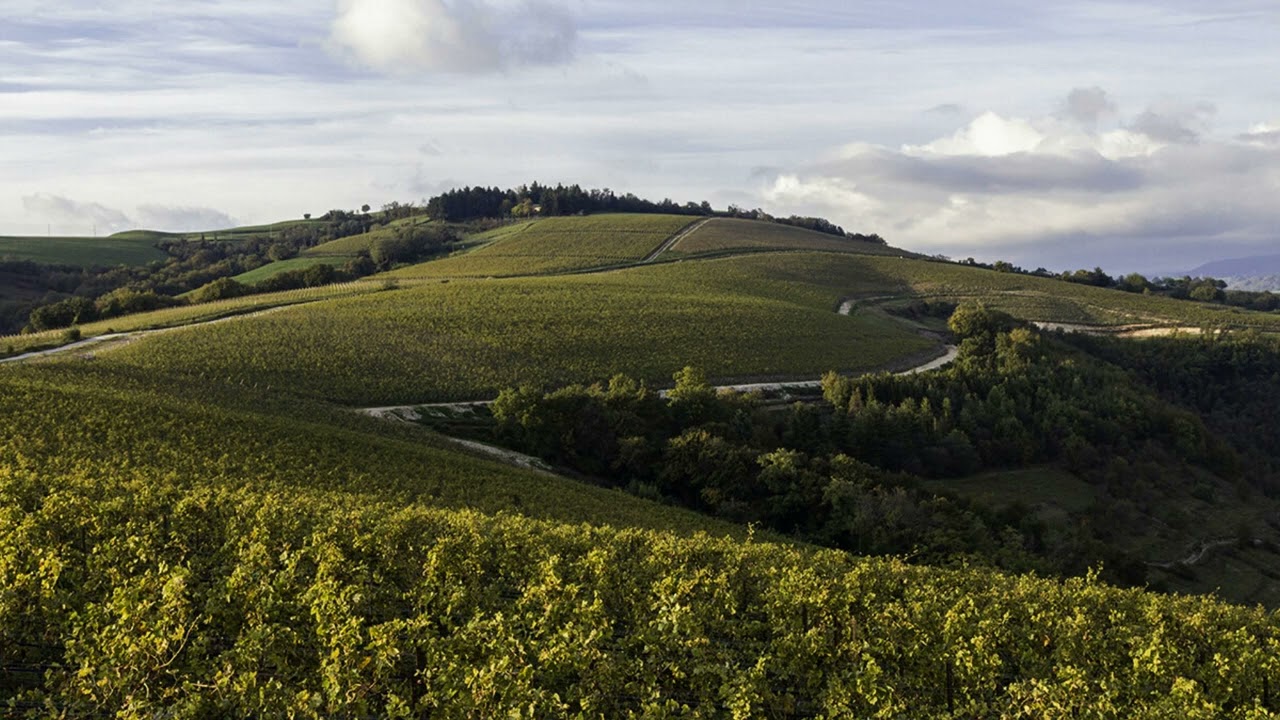 La collina delle favole