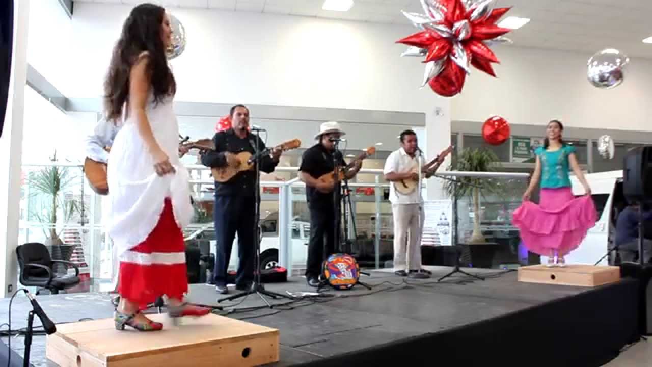 La Guacamaya - Son Jarocho