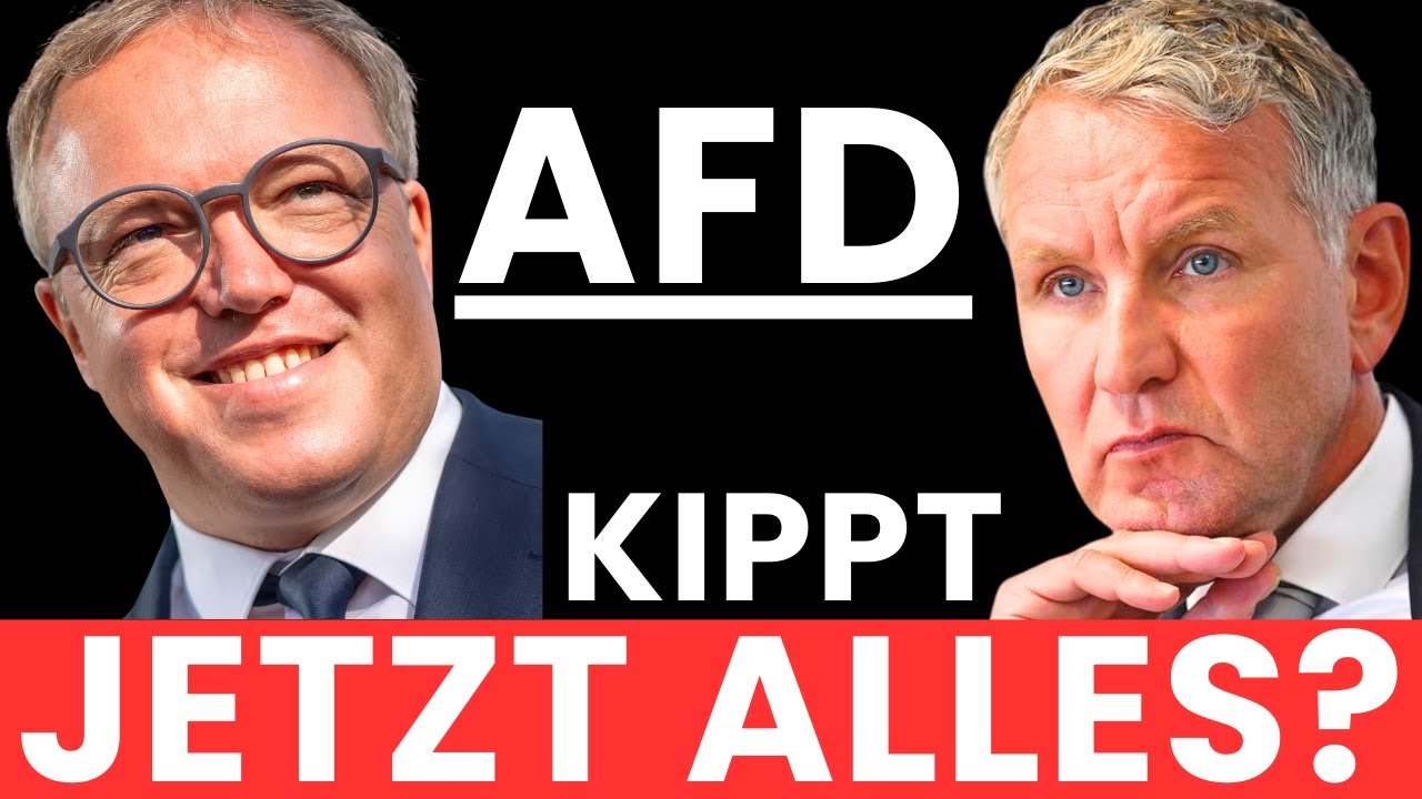 SENSATIONELL! AfD vor dem Durchbruch? 🇩🇪🔥