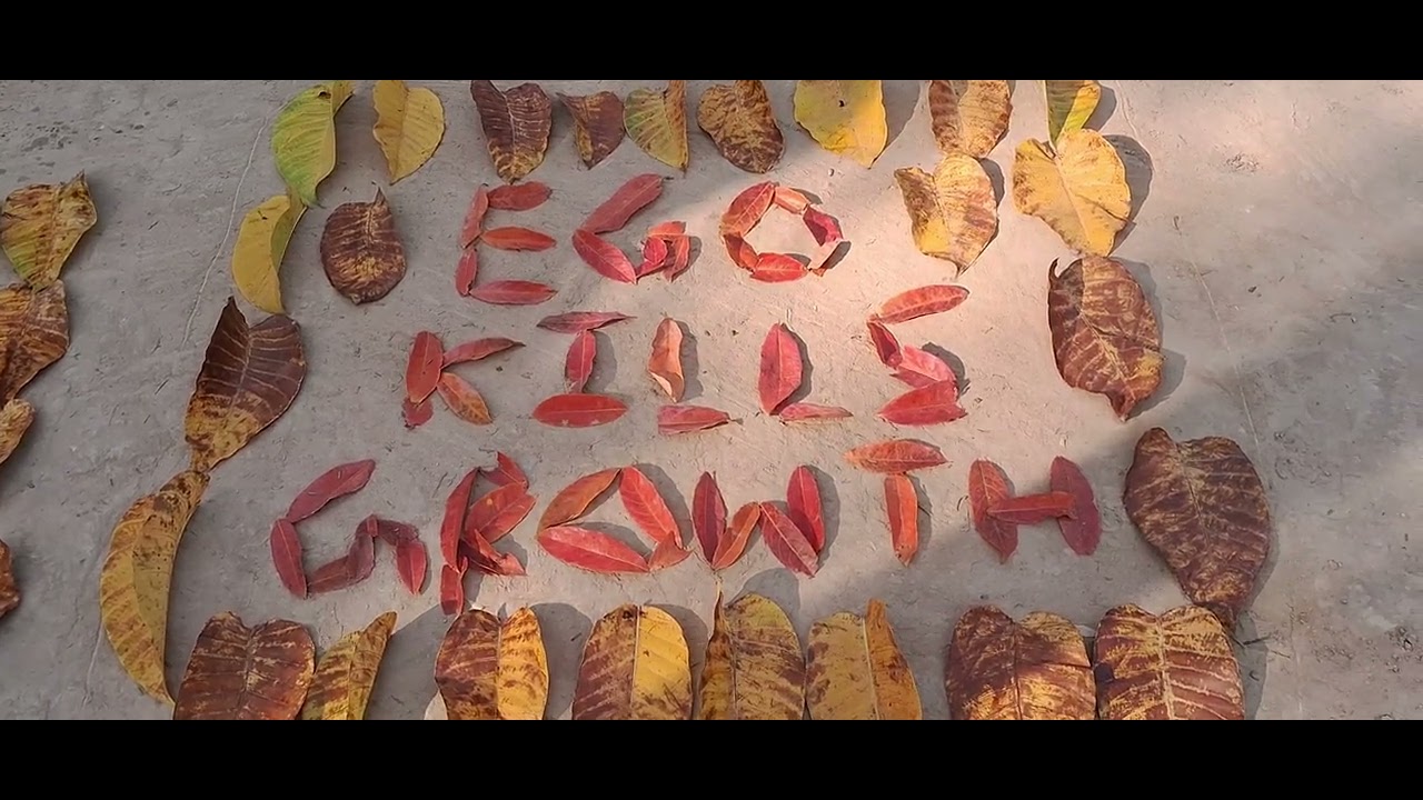 Creative Leaf Art Ideas | Relaxing Nature DIY (​@scorpionden1715 )