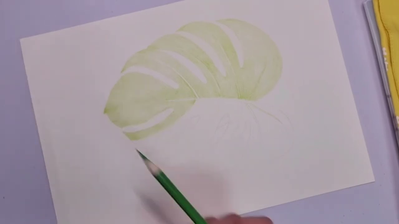 Brutfuner 유성색연필 몬스테라 그리기