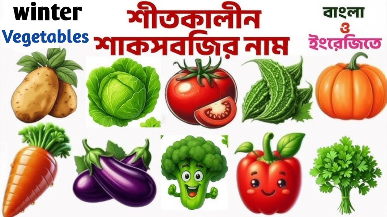 Winter Vegetables Name | 🥦🥬🫑🍅 শীতের সবজির নাম বাংলা ও ইংরেজি | Kids Learning |
