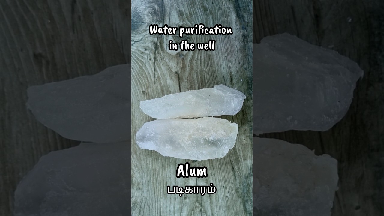 Water purification for well | Water treatment using Alum / Fitkari | படிகாரம்|