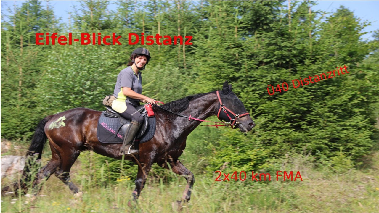 Eifel-Blick Distanz 2017 FMA distanzreiten