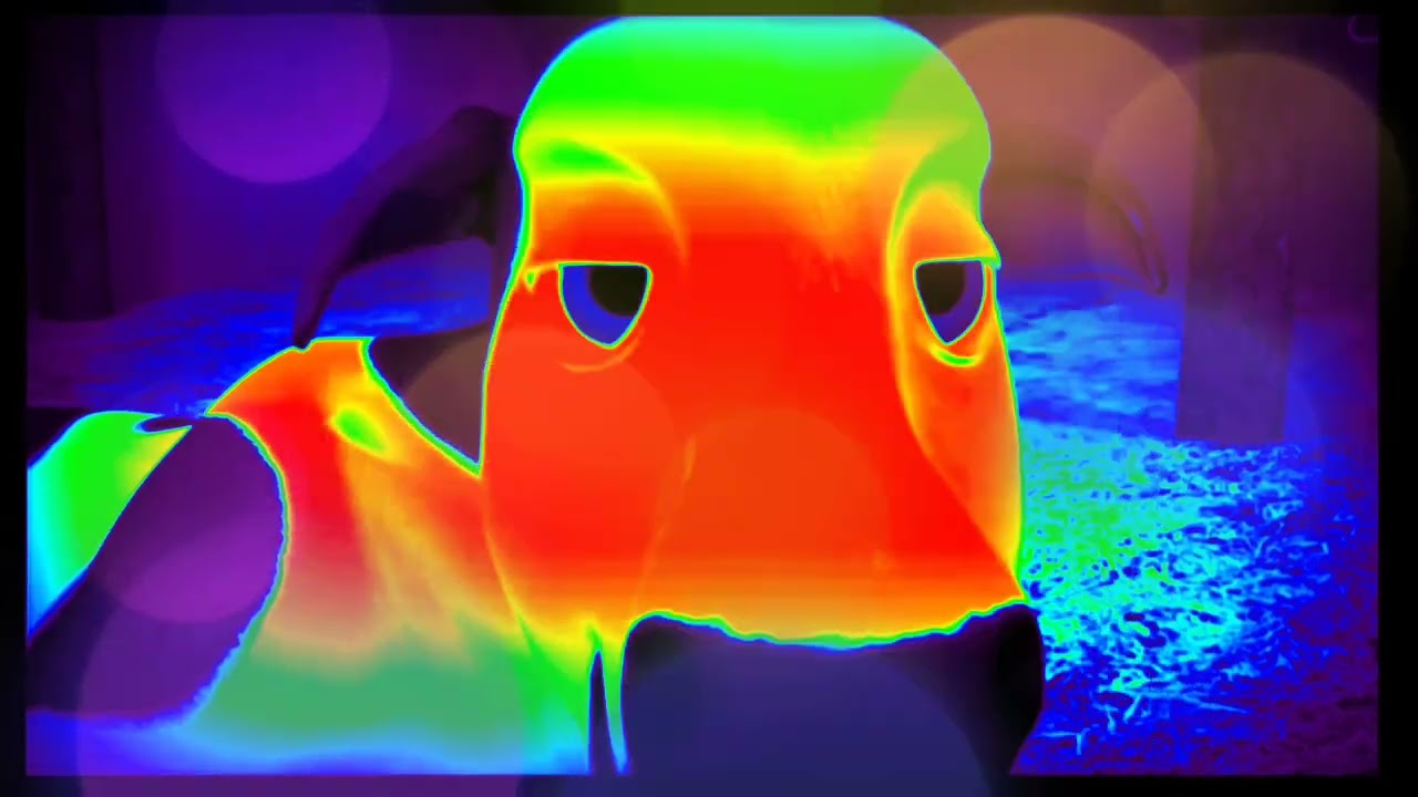 Bartolito is still searching for the carrots in the farm // sponsored by Gamavision Csupo effects 