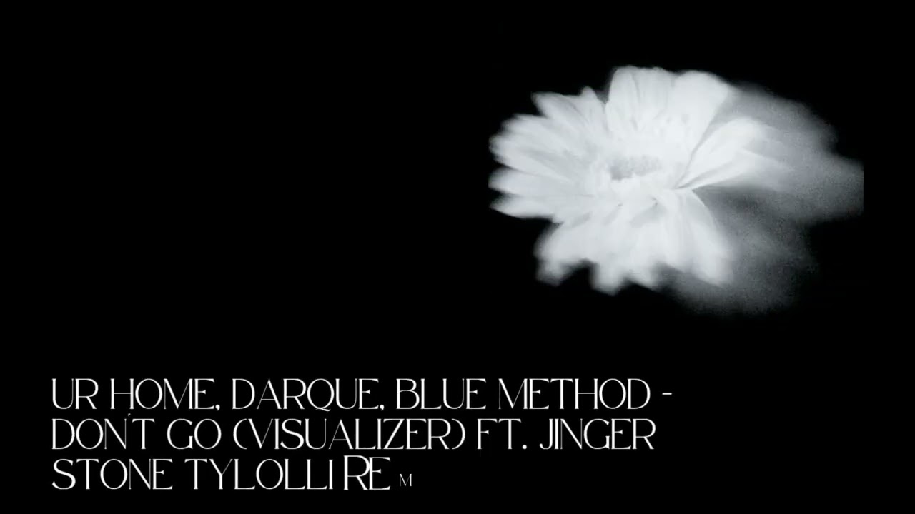 This is a TYLOLLI of Don't Go by UR Home, Darque, Blue Method - ft. Jinger Stone