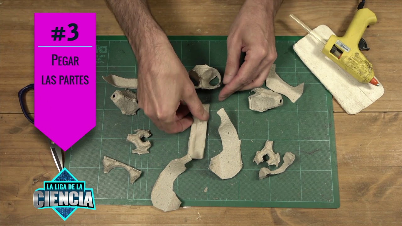 Ciencia en casa: Cráneo de carnotaurus