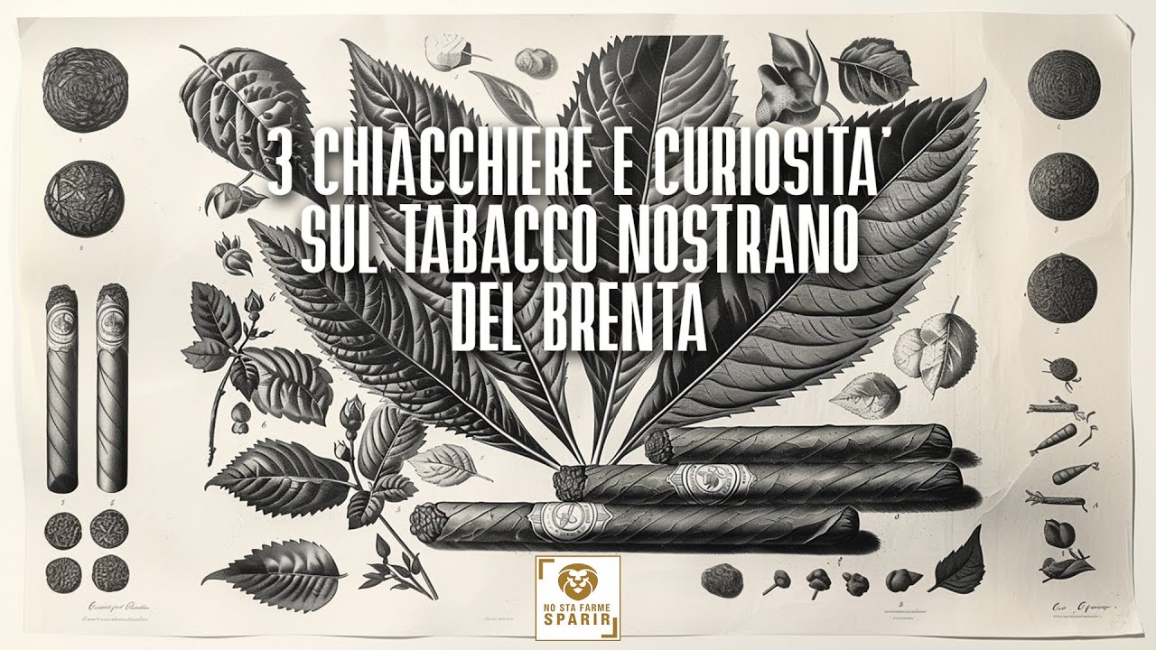 3 chiacchiere e curiosità sul tabacco Nostrano del Brenta