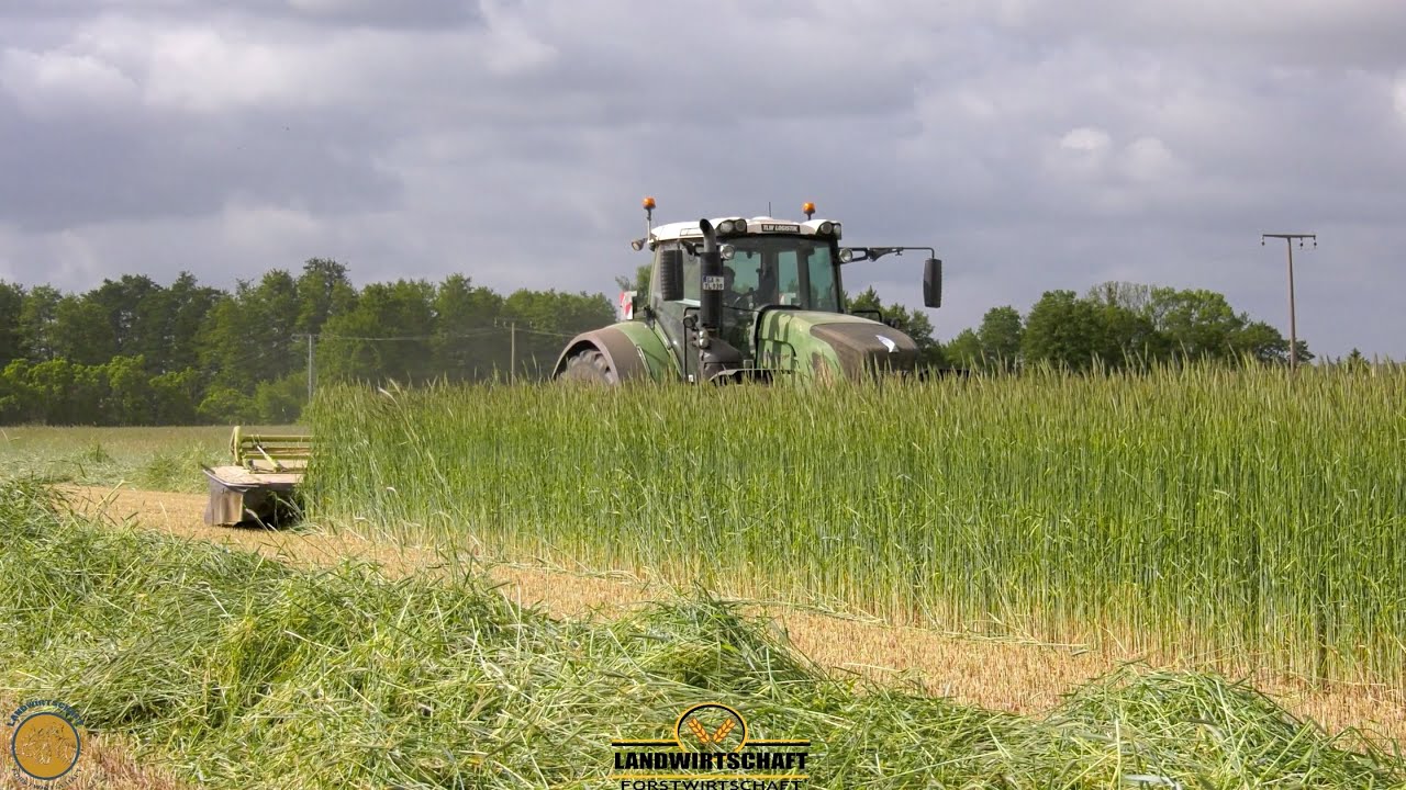 Im Roggen Versteckt John Deere 8700i H&auml;cksler am Limit! 360ha GPS Roggen m&auml;hen & H&auml;ckseln f&uuml;r BGA