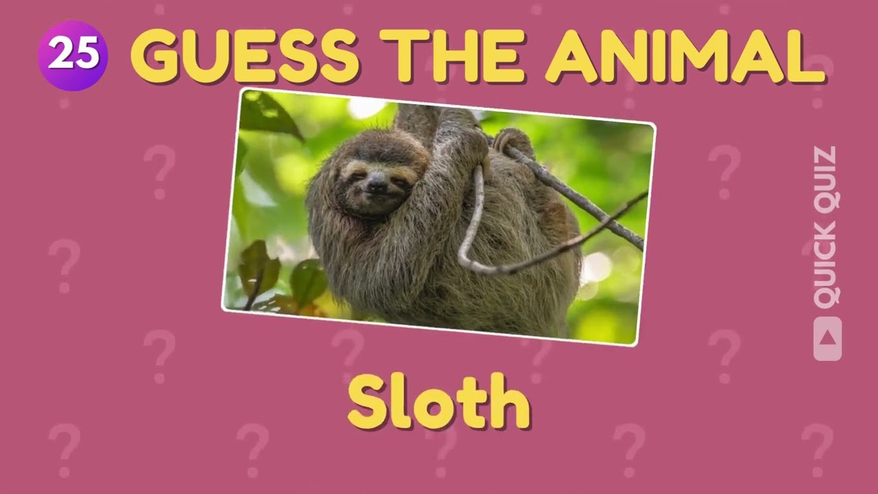 Only 26% Can Guess These Animals Correctly! 🐾 | Animal Quiz #trivia #animalquiz #animals