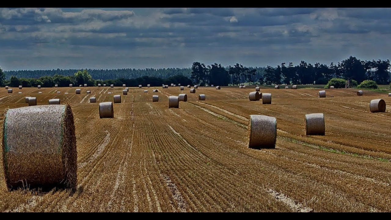 LS 25 Groß Molzahn # Privat # Heute muss das fertig