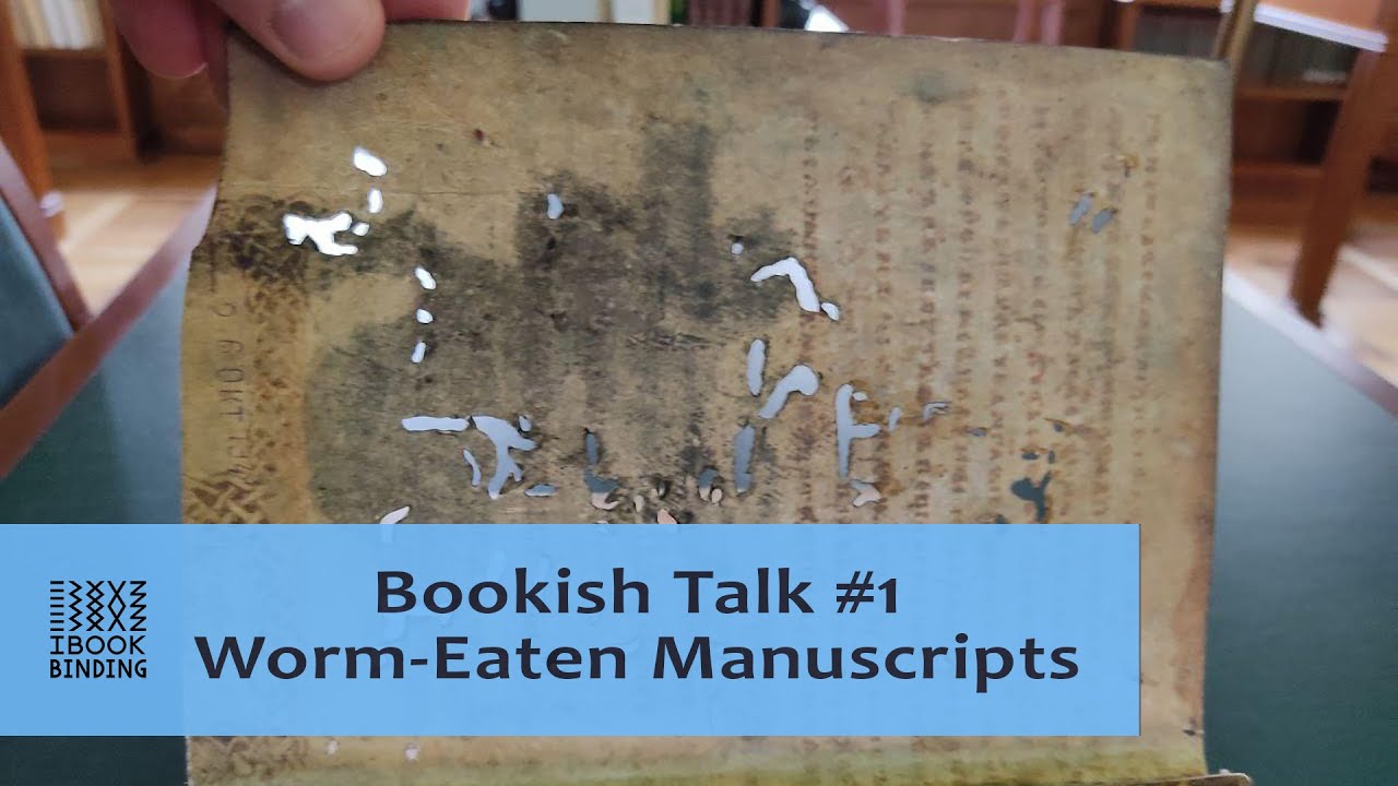 Bookish Talk #1 - Worm-Eaten Manuscripts