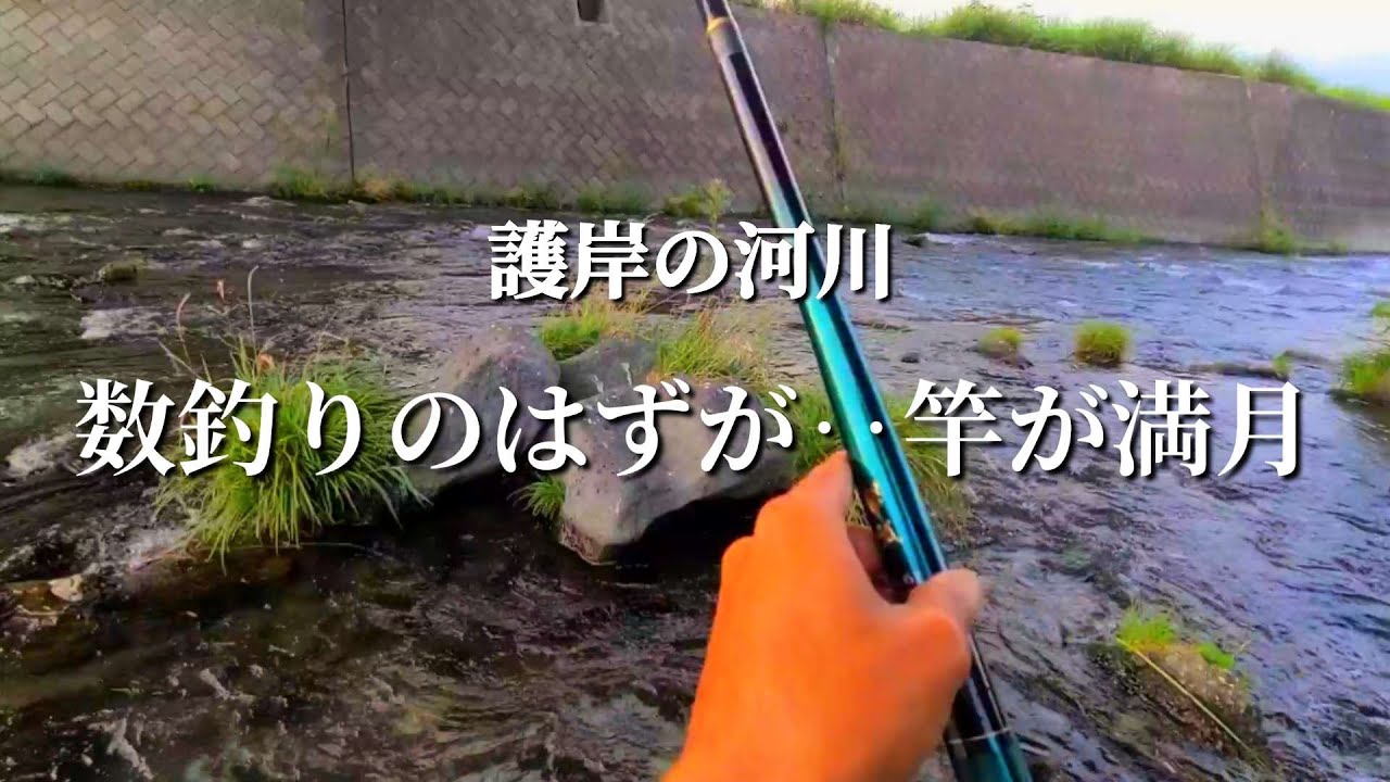 【渓流釣り】【餌釣り】掛かる魚が重すぎる。