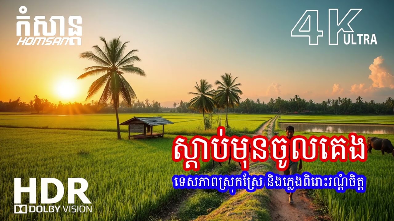 🌙 តន្ត្រីបន្ធូរអារម្មណ៍ពេលរាត្រី – ជួយអោយដេកសុខសាន្តពេញយប់