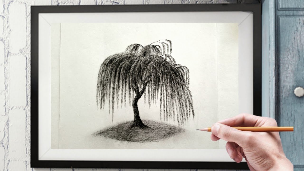 How to draw a realistic willow tree | Step by step drawing tutorial