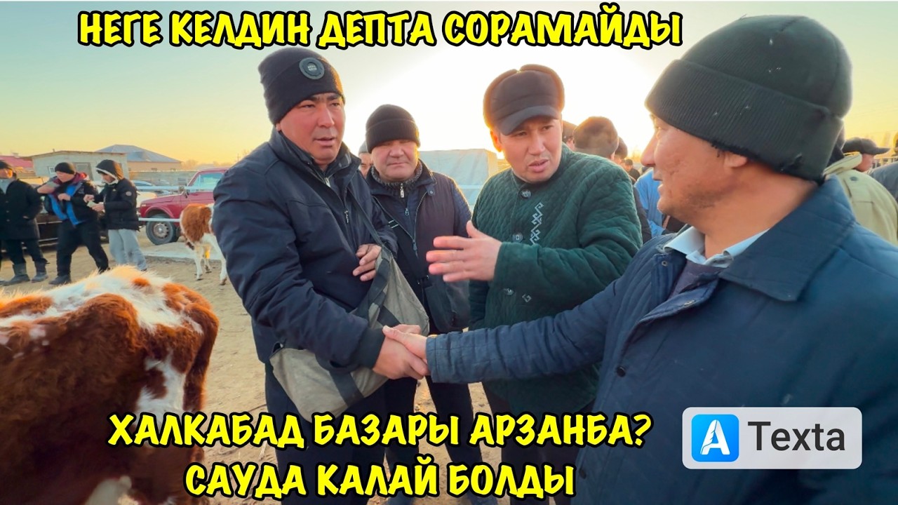 19-МАРТ/2026/ХАЛКАБАД МАЛ БАЗАРЫ/МАЛ БАЗАР 2026/ДЕМ БЕРМЕС МАЛ БАЗАР