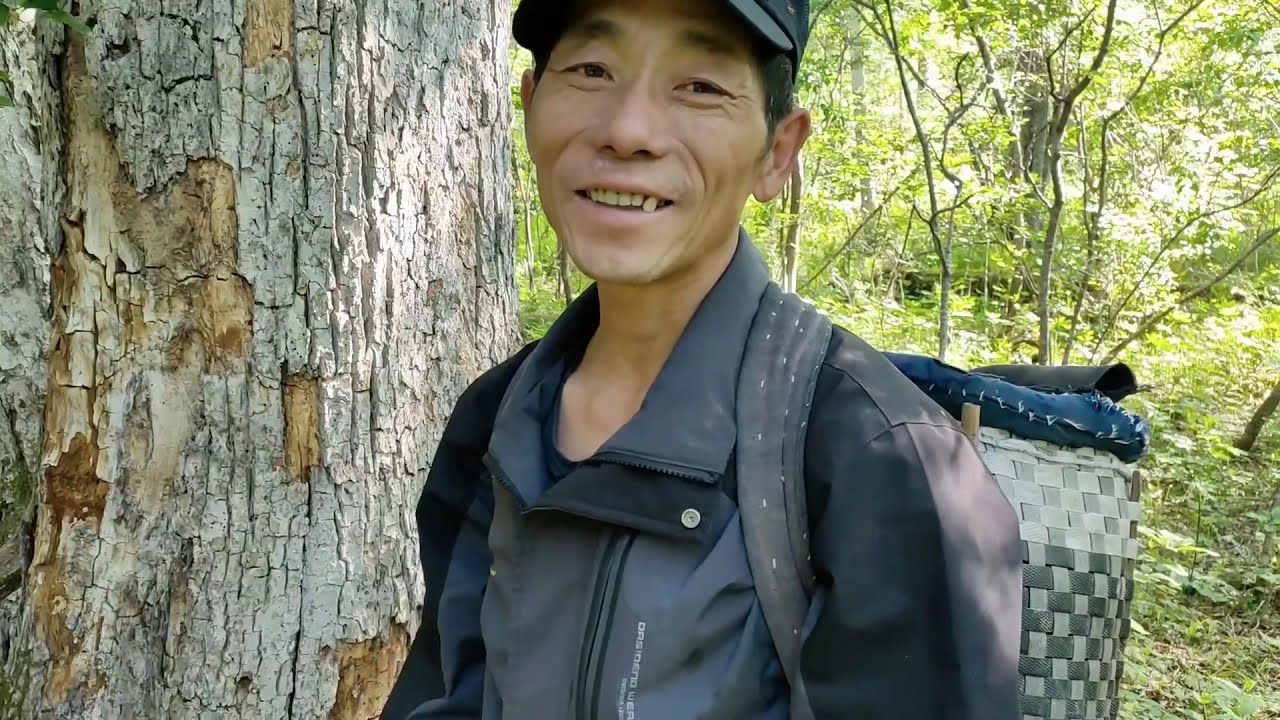 刺老芽采到榆黄蘑，先给杨奶奶送兜最好的，大姑还让留下吃炸鱼