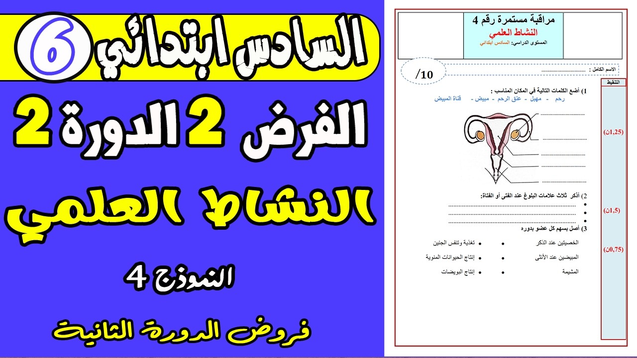 فروض المستوى السادس ابتدائي الدورة الثانية |الفرض الثاني الدورة الثانية مادة النشاط العلمي السادس ن4
