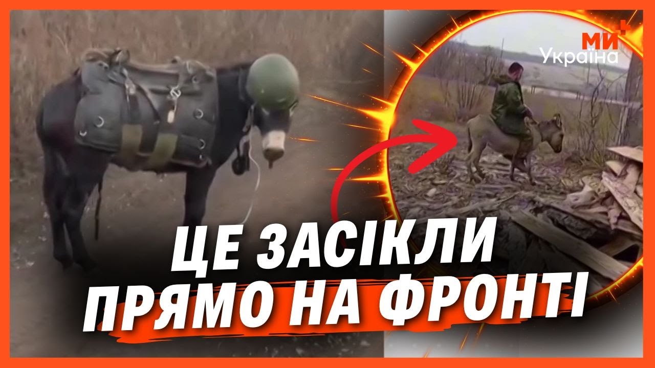 ВЕСЬ СВІТ В ШОЦІ від ТОГО ЩО ЧУДЯТЬ РУСАКИ. РФ відроджує КАВАЛЕРІЮ