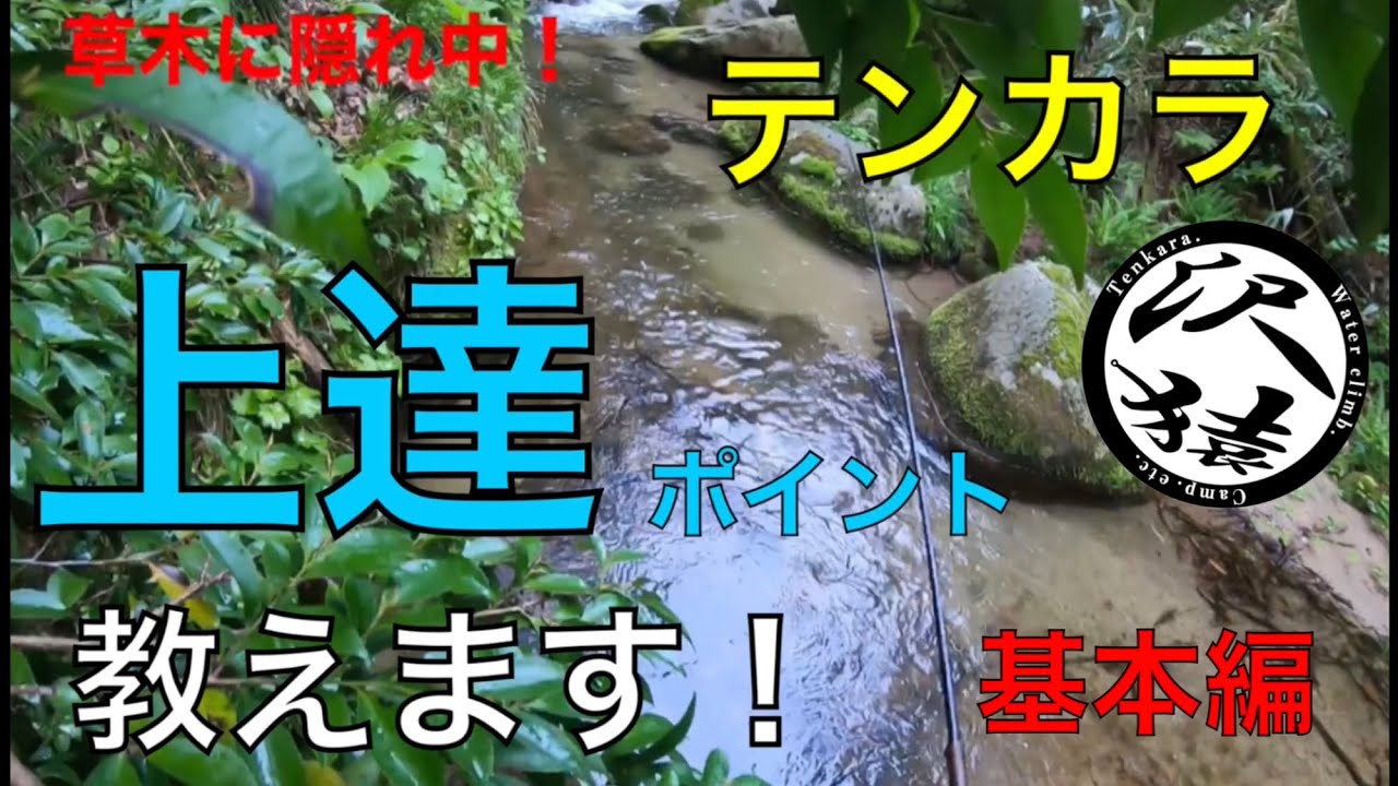 沢猿のテンカラ上達ポイント教えます！基本編①〜⑥[前編]