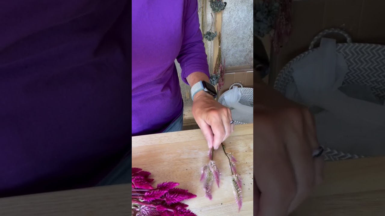 Celosia-The Perfect Time to Harvest for Drying 👍🏼✅ (you don&rsquo;t want seeds all over your floor!)