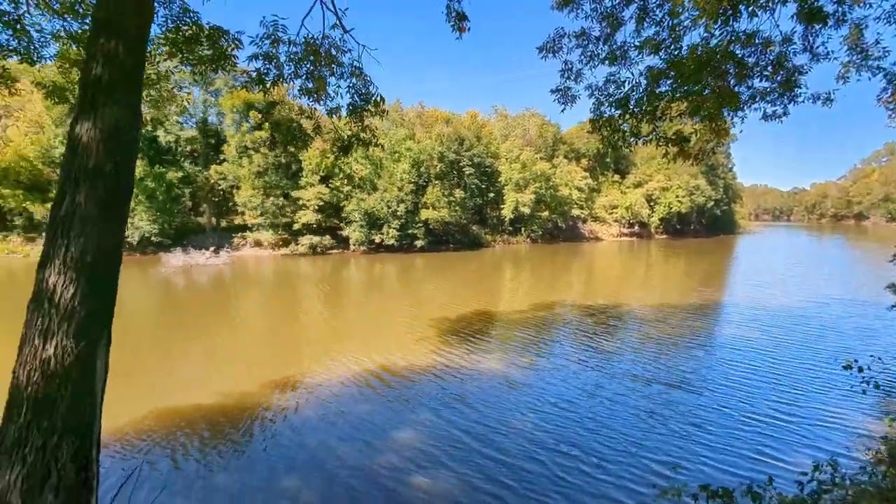 Google Pixel 7 Pro Video Sample 4K/60fps and Cinematic Blur Sample