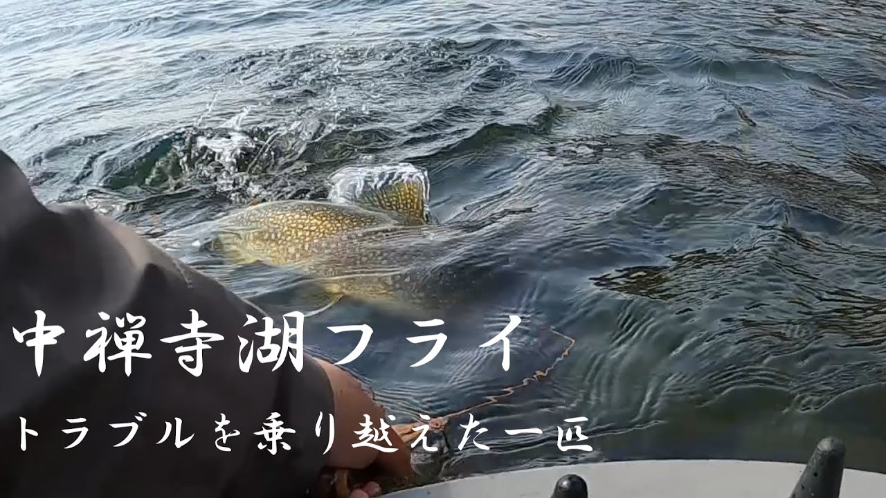 【中禅寺湖】2023/04/21フライフィッシング