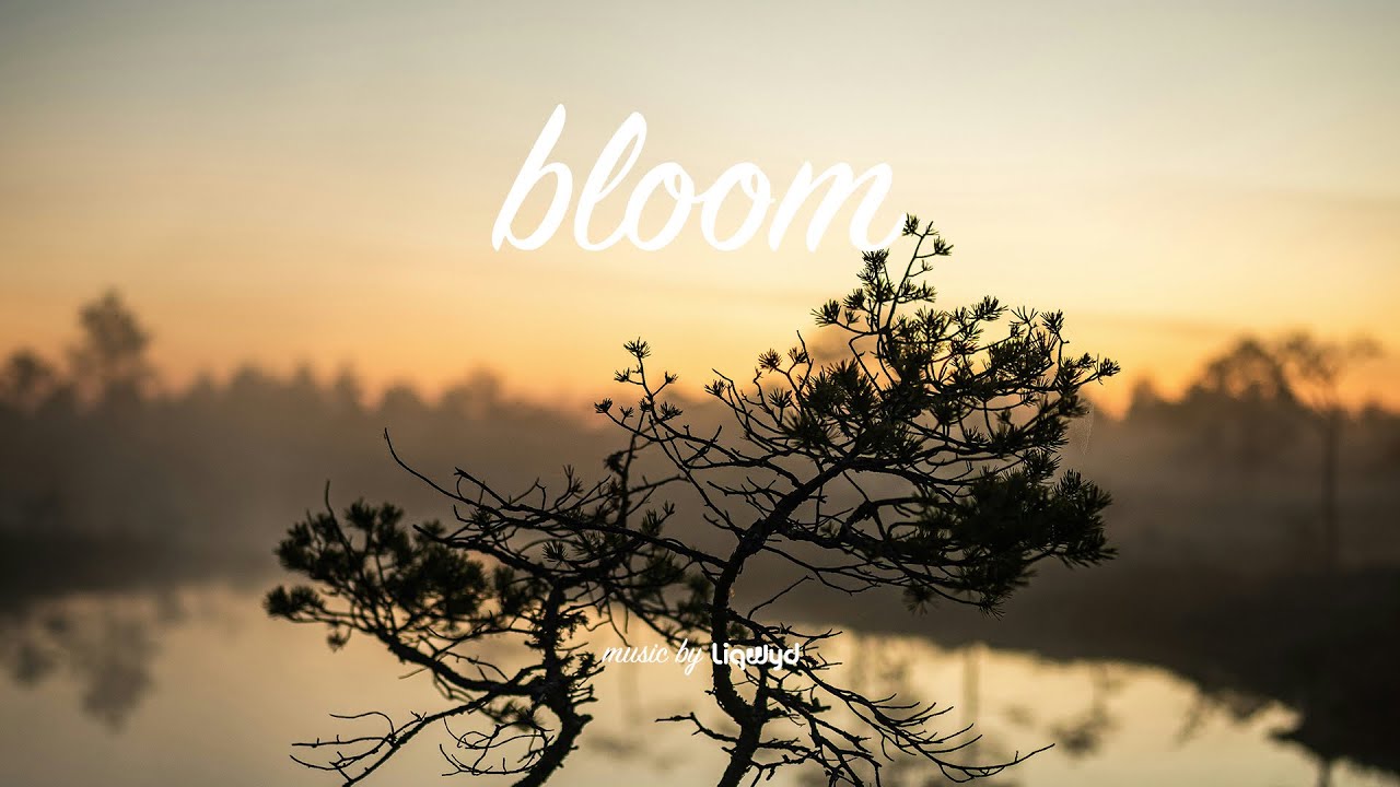 LiQWYD - Bloom [Official]