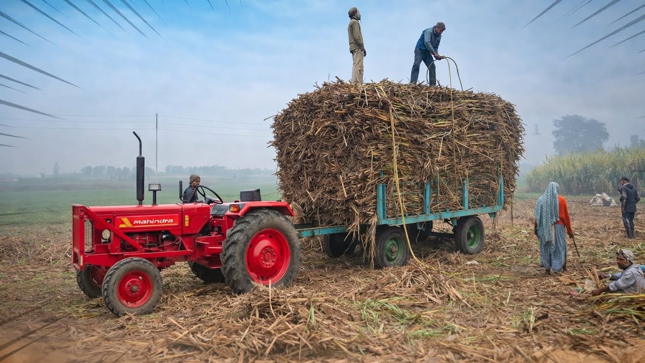 Mahindra 265 ki power khet me 