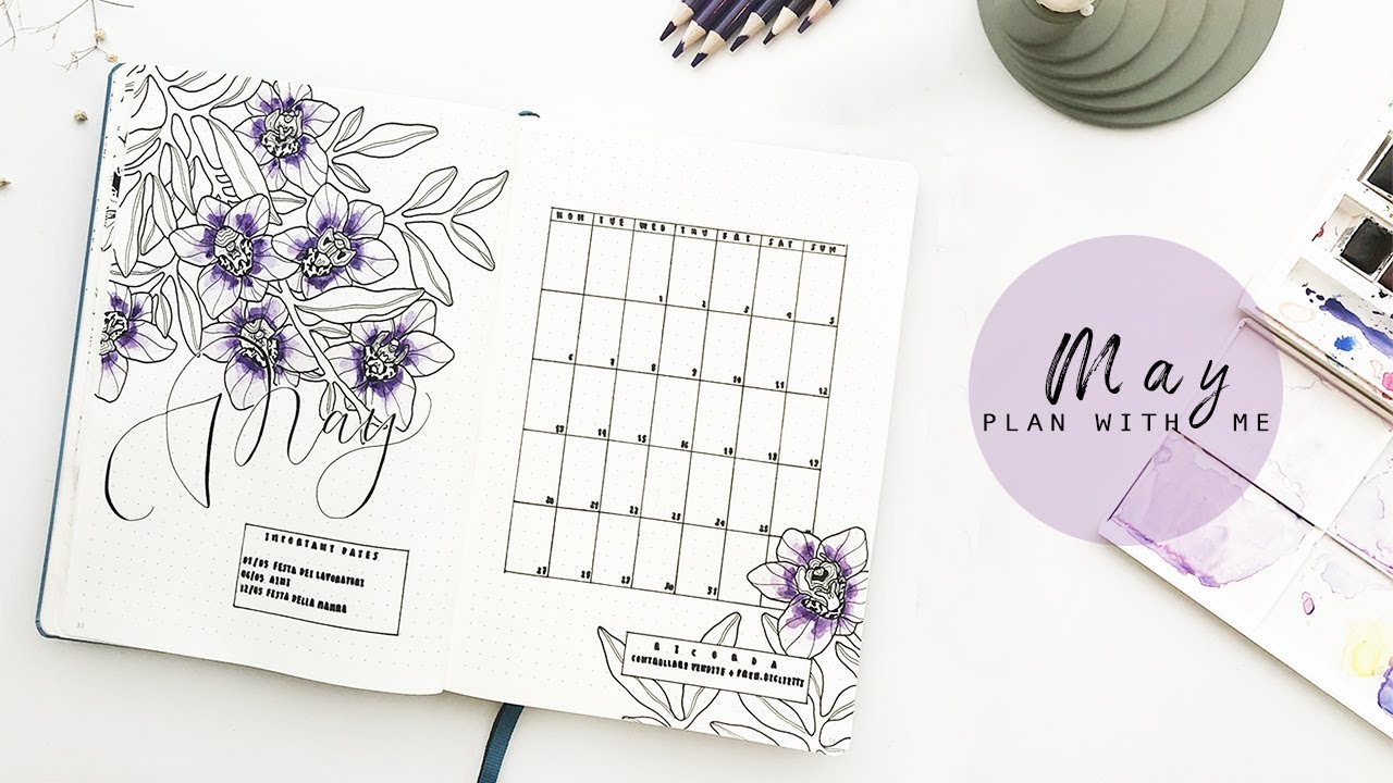 PLAN WITH ME | May 2019 Bullet Journal Setup | FEEBUJO