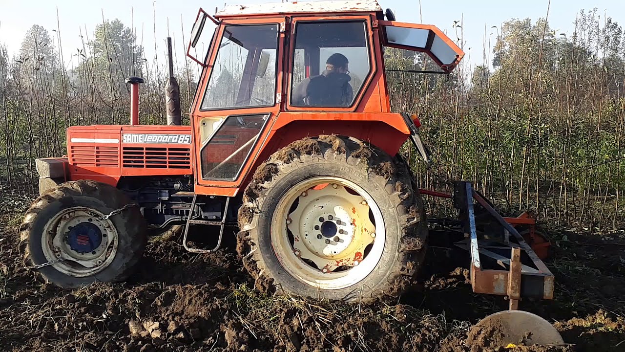 Vadjenje sadnica Teslic