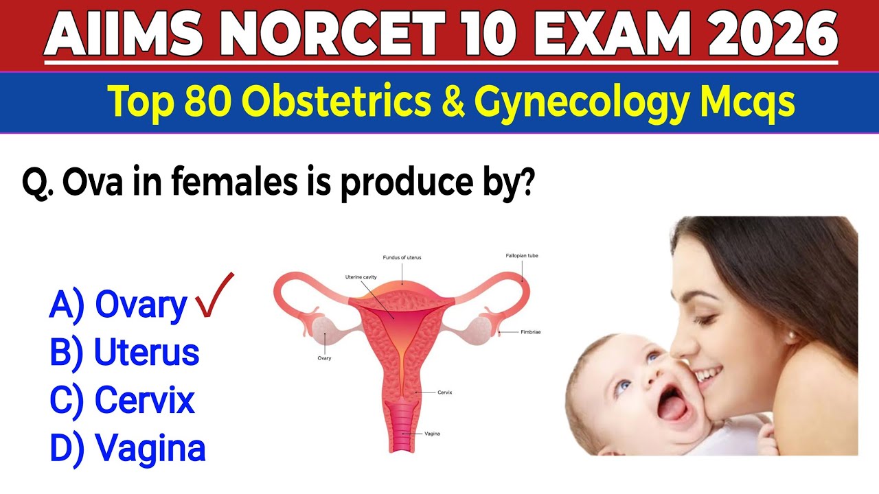 Экзамен AIIMS NORCET 10 2026 | Тесты с множественным выбором по акушерству и гинекологии | Тесты ...