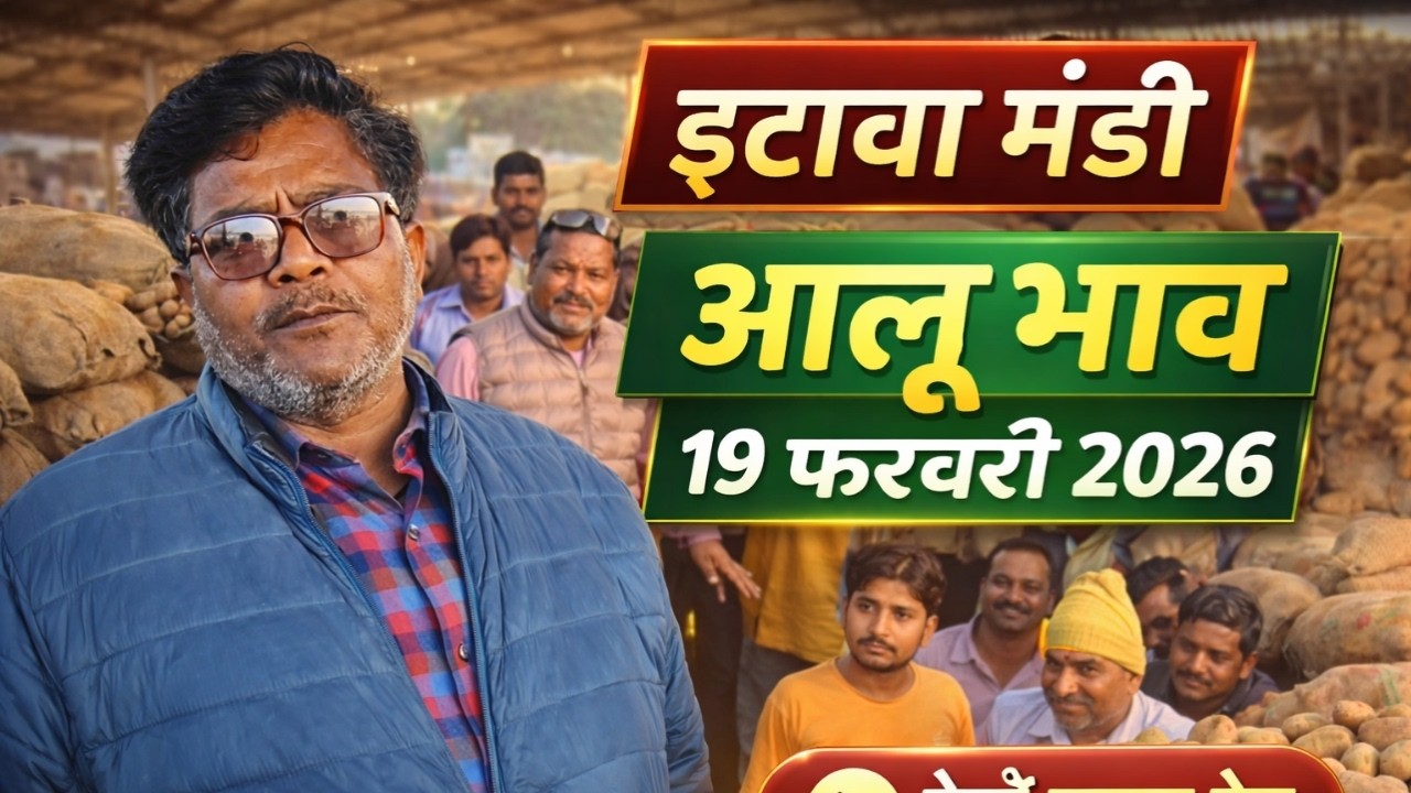 इटावा मंडी आलू भाव 19 फरवरी 2026 | आज का ताजा रेट क्या रहा? 🥔📈