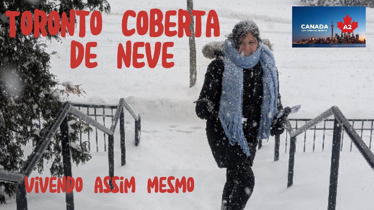 Toronto Sob a Neve: A Cidade Parou