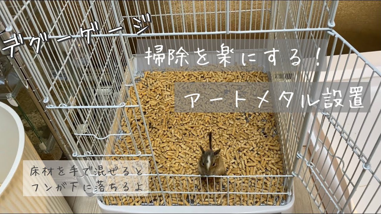【デグー】床材掃除が楽になりました！degu