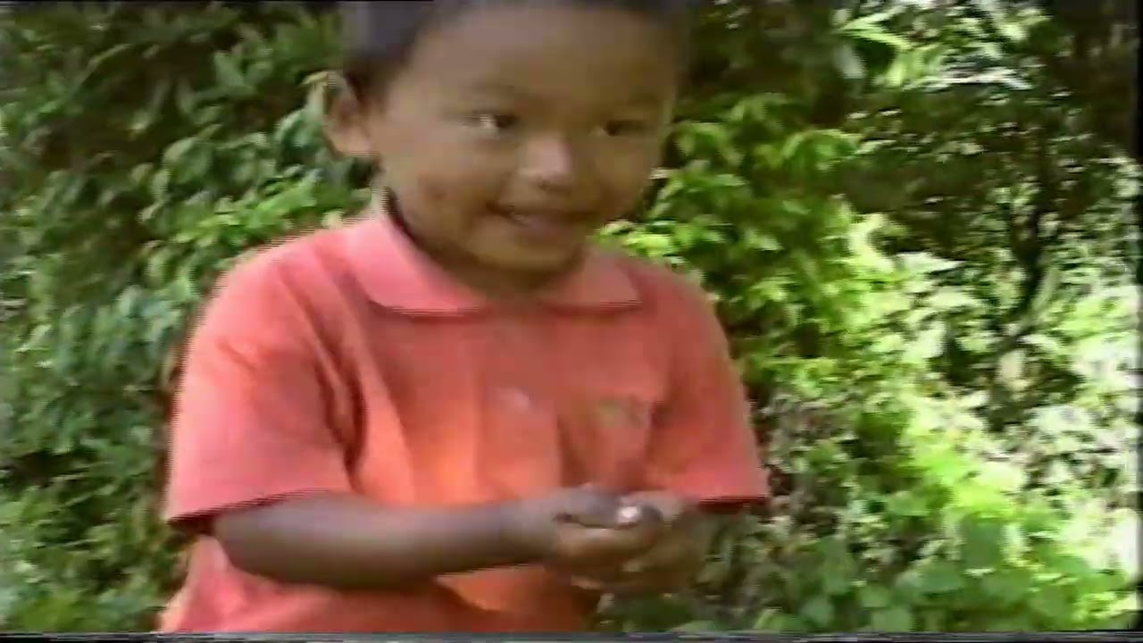 ORGANIC LIFESTTYLE IN THE REMOTE MOUNTAIN VILLAGE IN NEPAL