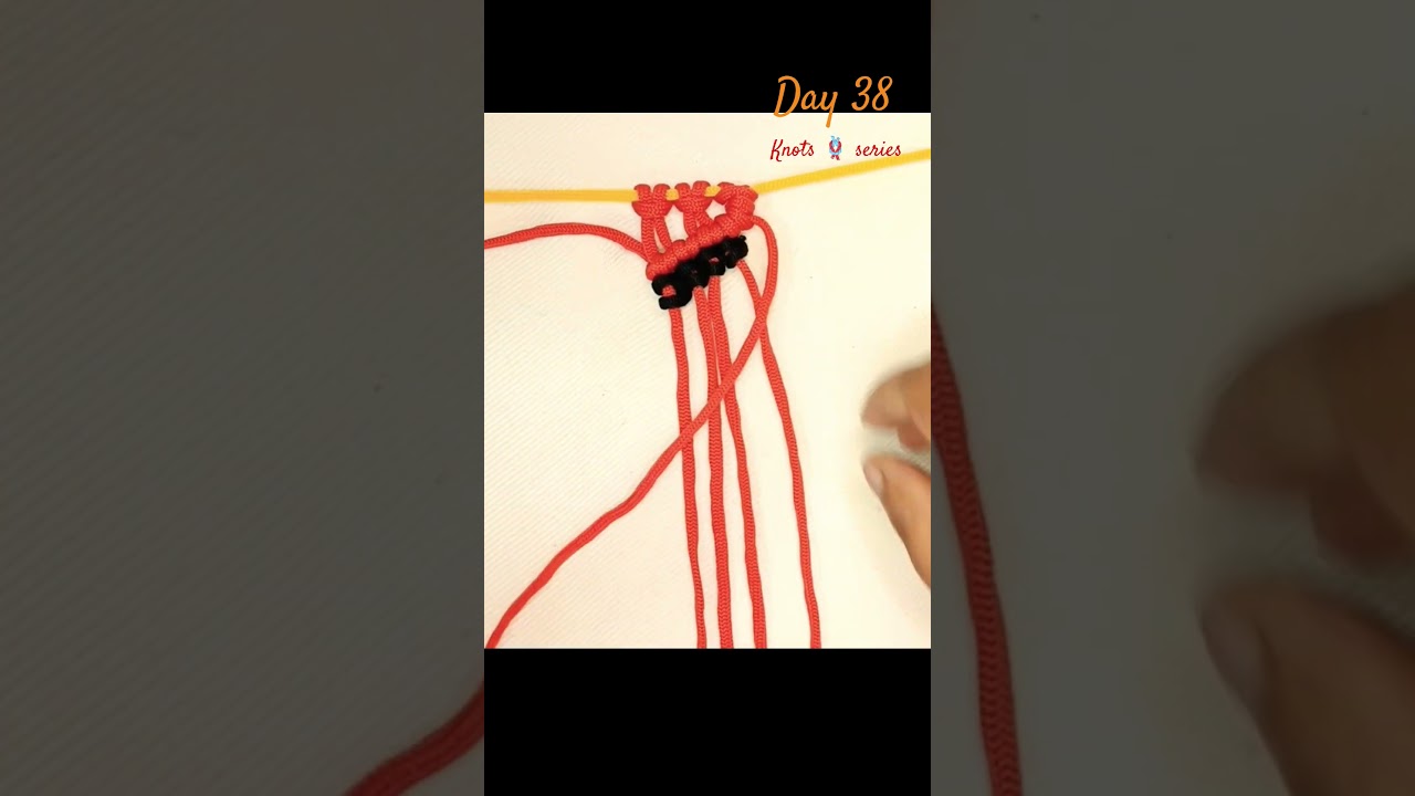 38/100 macrame knots 🪢 series   #class #series #trending #macrame #knot #diy #tutorial