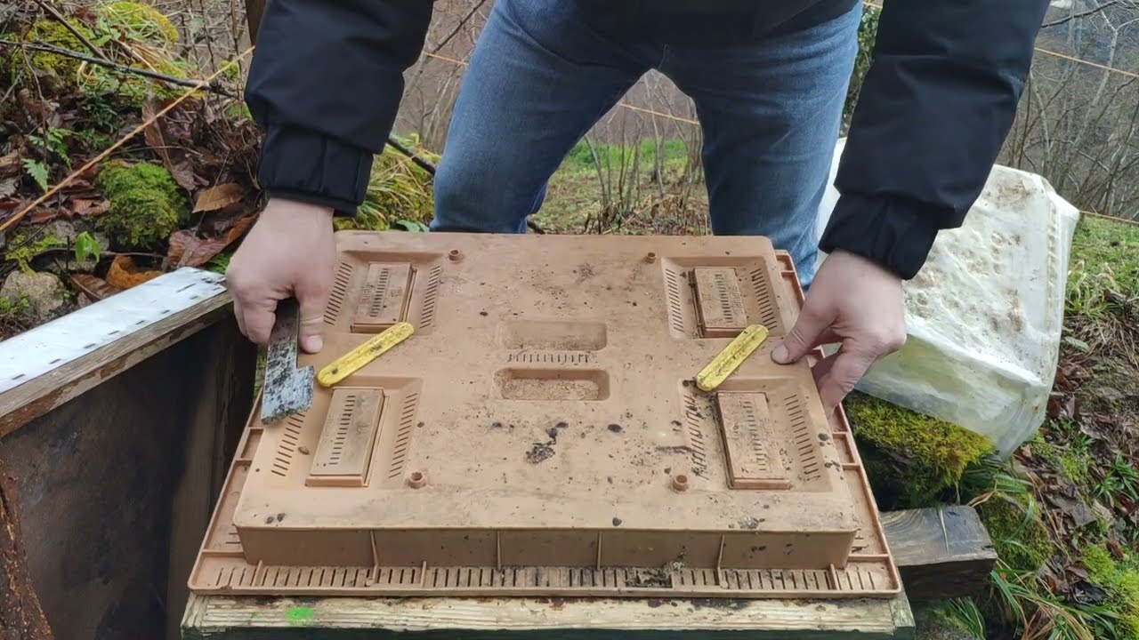 2026 yılında arılara ilk beslemeyi yaptım.