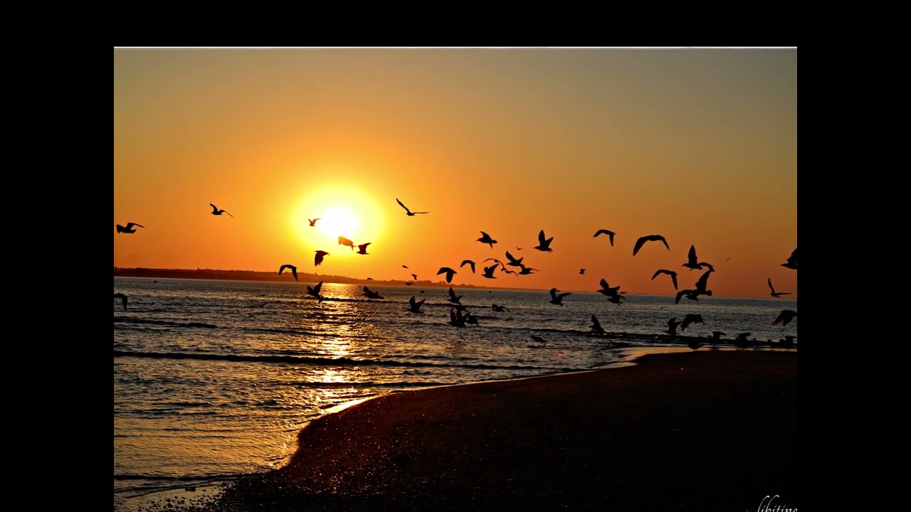 Isla Cristina....mi pueblo