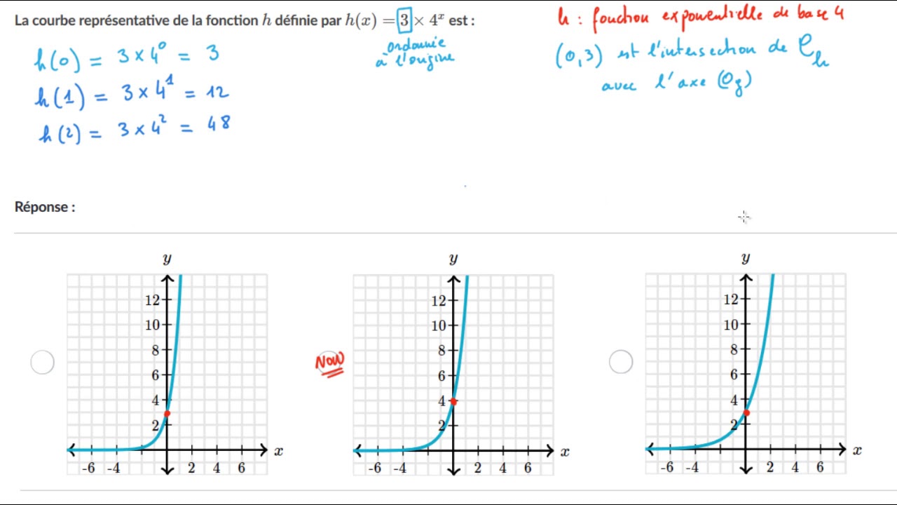 Courbe représentative d'une fonction exponentielle