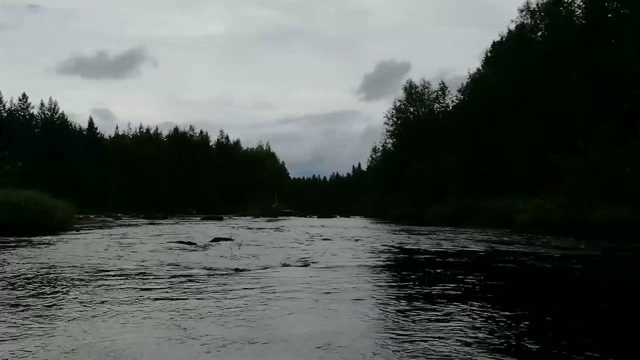 Avslappnande Bäckljud i Skymningen - För Meditation och Mindfulness
