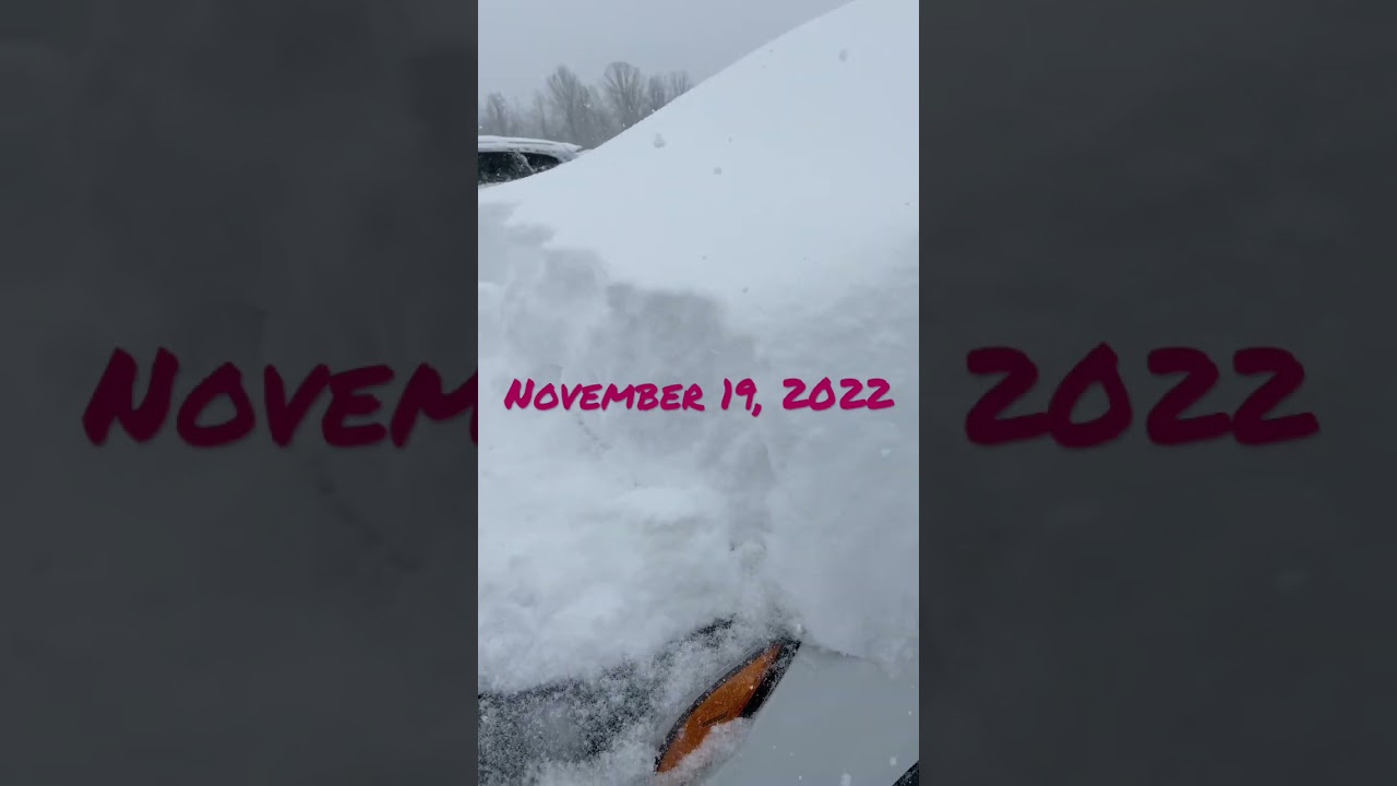 RECORD SETTING SOUTHERN ONTARIO BLIZZARD 2022 #shorts #snowstorm #snow