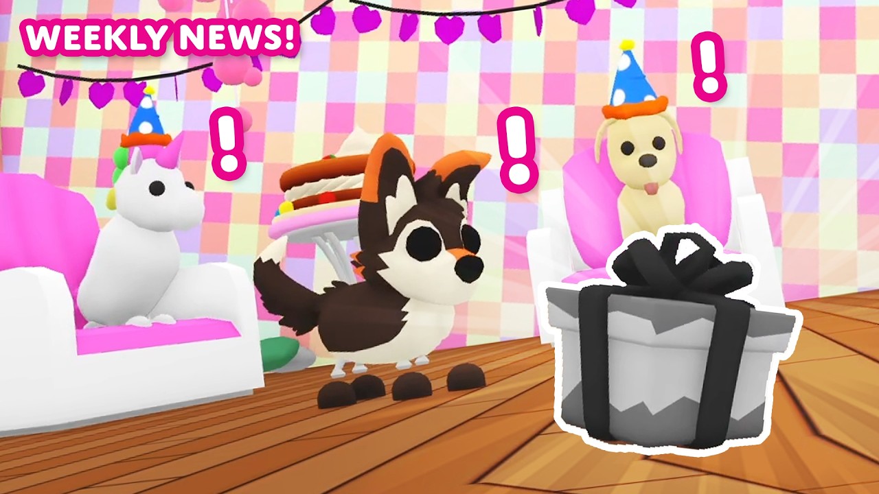 🎂 У наших питомцев снова день рождения! 🎈 Еженедельные новости! 🗞️ Примите меня в свою семью! на ...